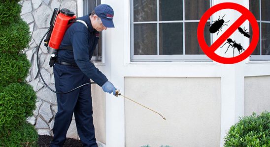 Çat Gümüşkurt İlaçlama böcek ilaçlama ve haşere kontrolü — ilaclama-tr.com